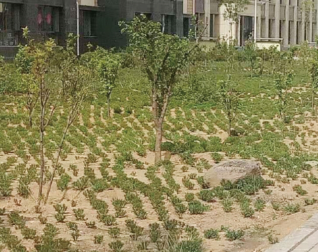 包頭棚戶區(qū)改造,住宅及社區(qū)內(nèi)道路、園林綠化、亮化工程
