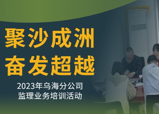 聚沙成洲 奮發(fā)超越--2023年烏海分公司監(jiān)理業(yè)務
